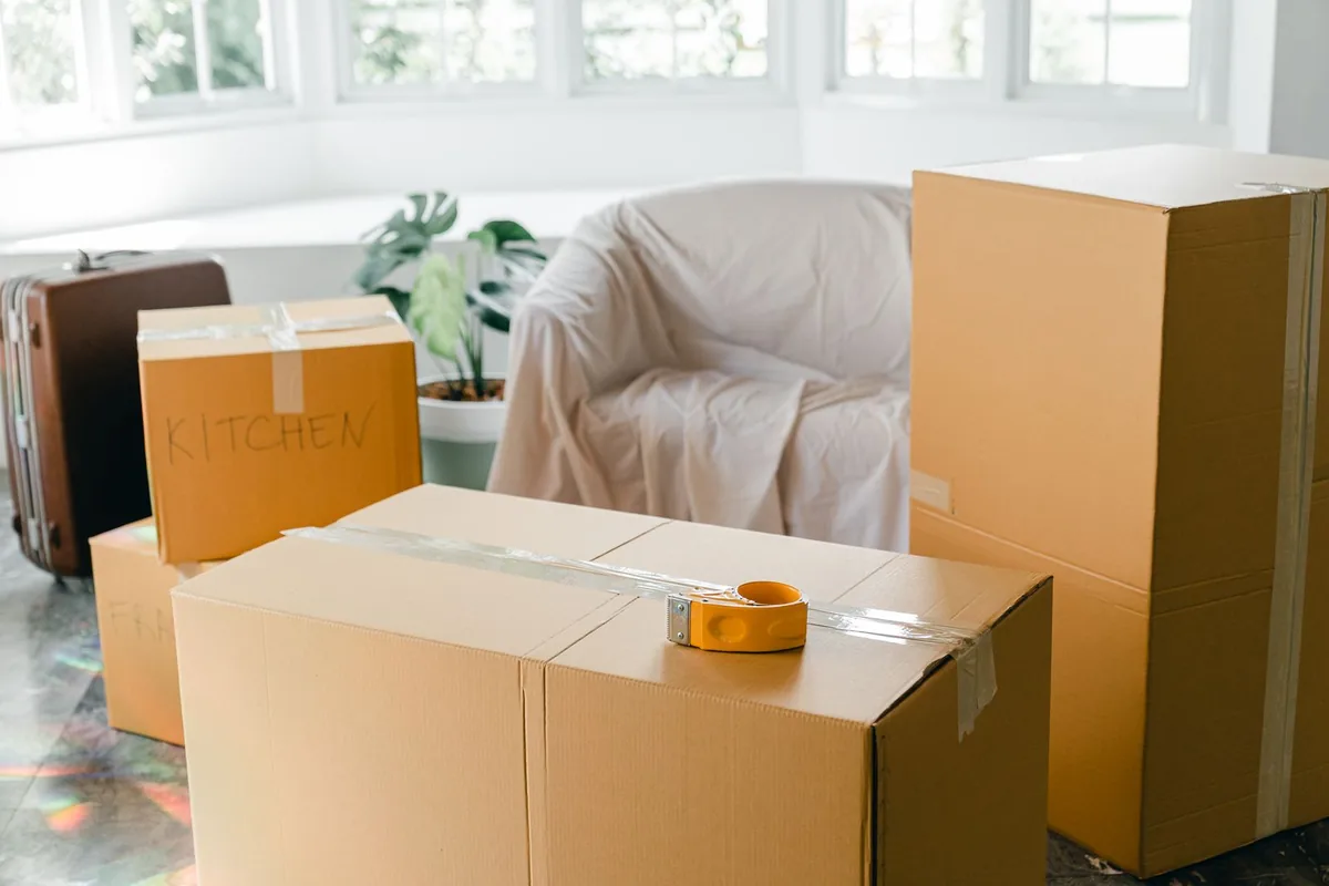 Hoarding Cleanup in East Mount Airy, Philadelphia, PA